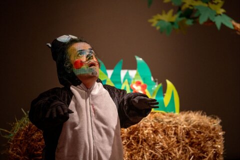 گلستان - پیله