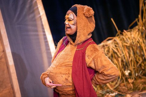 گلستان - خروس زری