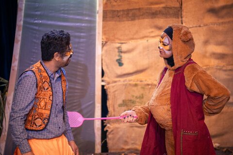 گلستان - خروس زری