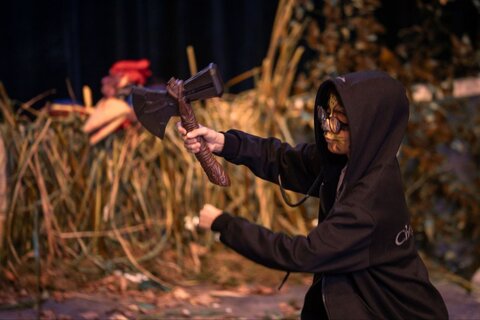 گلستان - خروس زری