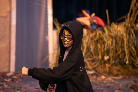 گلستان - خروس زری