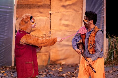 گلستان - خروس زری