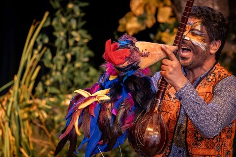 گلستان - خروس زری