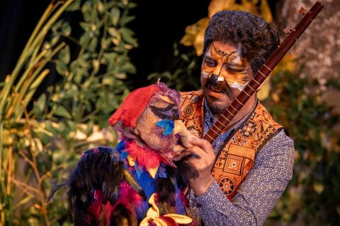 گلستان - خروس زری