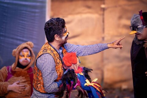 گلستان - خروس زری