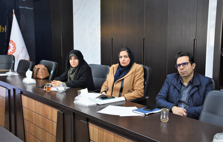 کمیته ساماندهی مراکز مشاوره