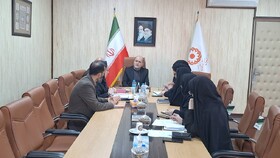 برگزاری جلسه کمیته نظارت بر مراکز و موسسات غیردولتی تحت نظارت بهزیستی استان
