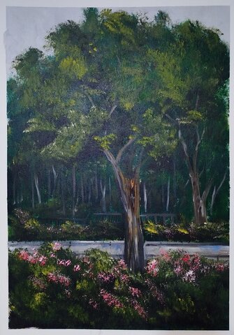 امیررضا سعادتی