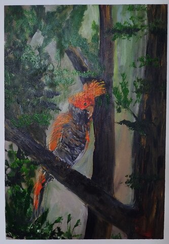 امیررضا سعادتی