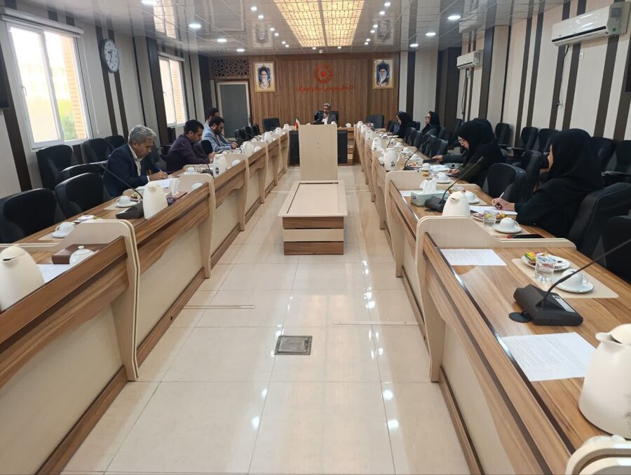 کارگروه شورای مشورتی قانون افراد دارای معلولیت تشکیل جلسه داد/ تأکید بر همکاری همه‌جانبه دستگاه‌ها