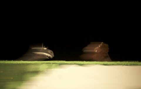 گلستان - خرم شیر