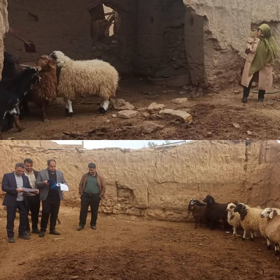 رئیس بهزیستی بشرویه از طرح‌های اشتغال در عشق‌آباد دیدن کرد