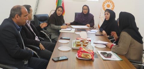 شهرستان بوشهر|برگزاری نشست تخصصی کمیته شبه خانواده در بهزیستی شهرستان بوشهر