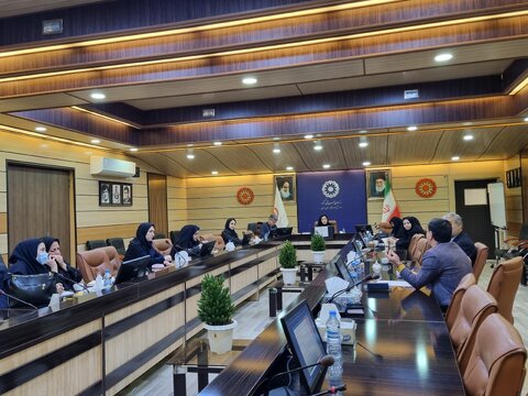 گزارش تصویری| چهارمین جلسه «کمیته ساماندهی کودکان کار و خیابان» در سال جـاری برگزار شد