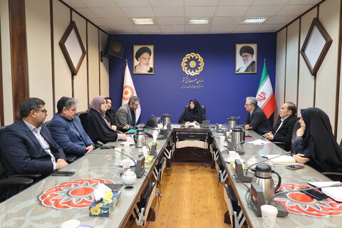 برگزاری جلسه کمیته توسعه دولت الکترونیک در اداره کل بهزیستی مازندران