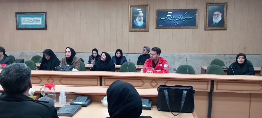 شورای سالمندان