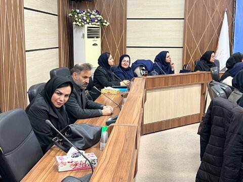 کارگاه آموزشی رویکرد راه حل محور در اتاق درمان