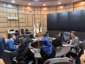 بررسی ظرفیت های همکاری جمعیت های همیاران سلامت روانی اجتماعی با پویش سلام محله