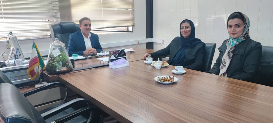 بررسی مشکلات بیماران ام‌اس و راهکارهای ارتقای خدمات حمایتی در دزفول