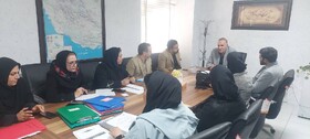 برگزاری جلسه کمیته فرزندخواندگی و طرح میزبان بهزیستی استان فارس