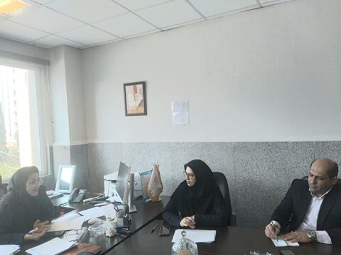 بررسی عملکرد حوزه اشتغال بهزیستی شهرستان کلاله