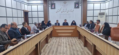 تنگستان| جلسه ستاد هماهنگی و پیگیری مناسب‌سازی در فرمانداری تنگستان برگزار شد