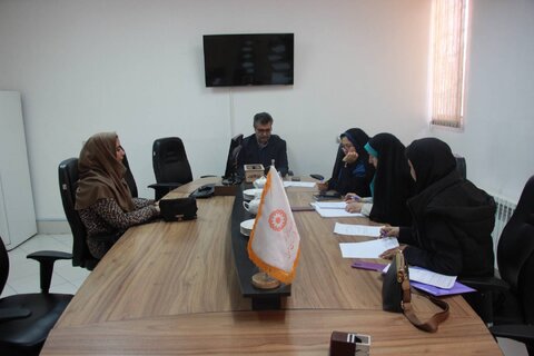 کمیته سطح ۲ دفتر خانواده وبانوان امور اجتماعی مدیریت بهزیستی شهرستان بیرجند برگزار شد