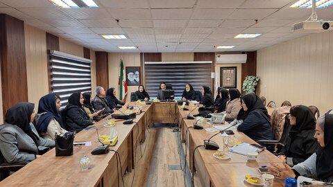هم‌اندیشی مدیرکل بهزیستی استان همدان با مسئولان مراکز مشاوره