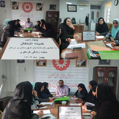 کردکوی | برگزاری کمیته اشتغال زایی با حضور گل فیروزی رئیس اداره بهزیستی