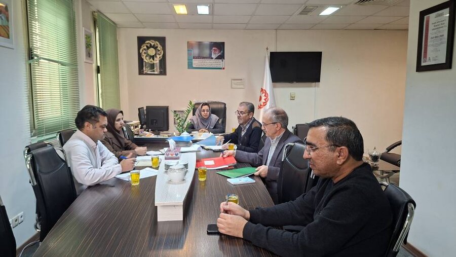 دهه فجر گرامی باد/ کمیته توانبخشی بهزیستی استان برگزار شد