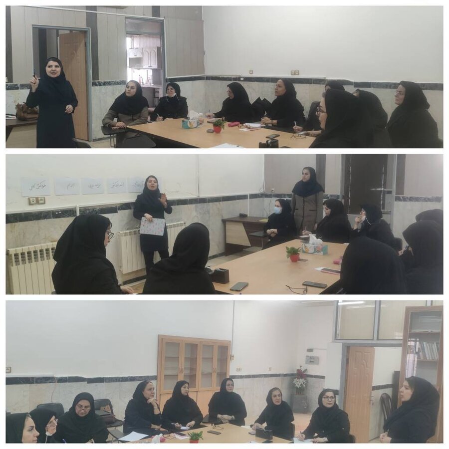 رشت /برگزاری کارگاه آموزشی پیشگیری از خودکشی 