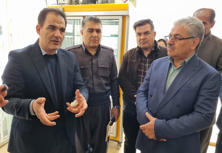 گروه همیاران