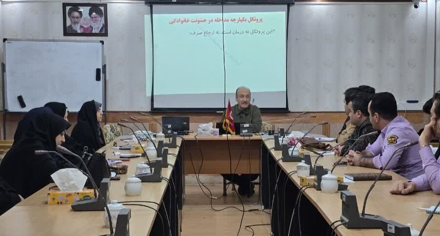 برگزاری کارگاه تخصصی مداخله در خشونت خانگی برای کارشناسان اورژانس اجتماعی