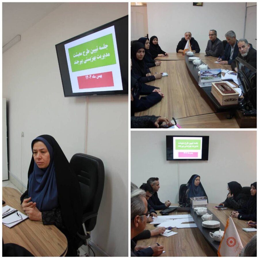 دهه فجر گرامی باد/تبیین چهره‌به‌چهره طرح معیشت خانوارها برای همکاران بهزیستی بیرجند