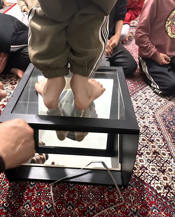 میلاد شقایق‌ها