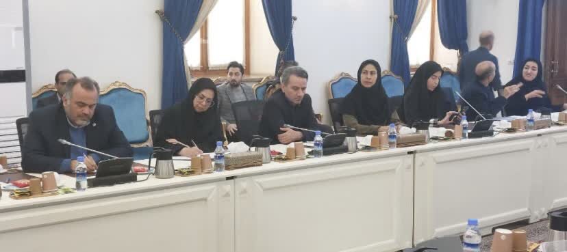 سی‌وپنجمین جلسه ستاد هماهنگی و پیگیری مناسب‌سازی کشور برگزار شد