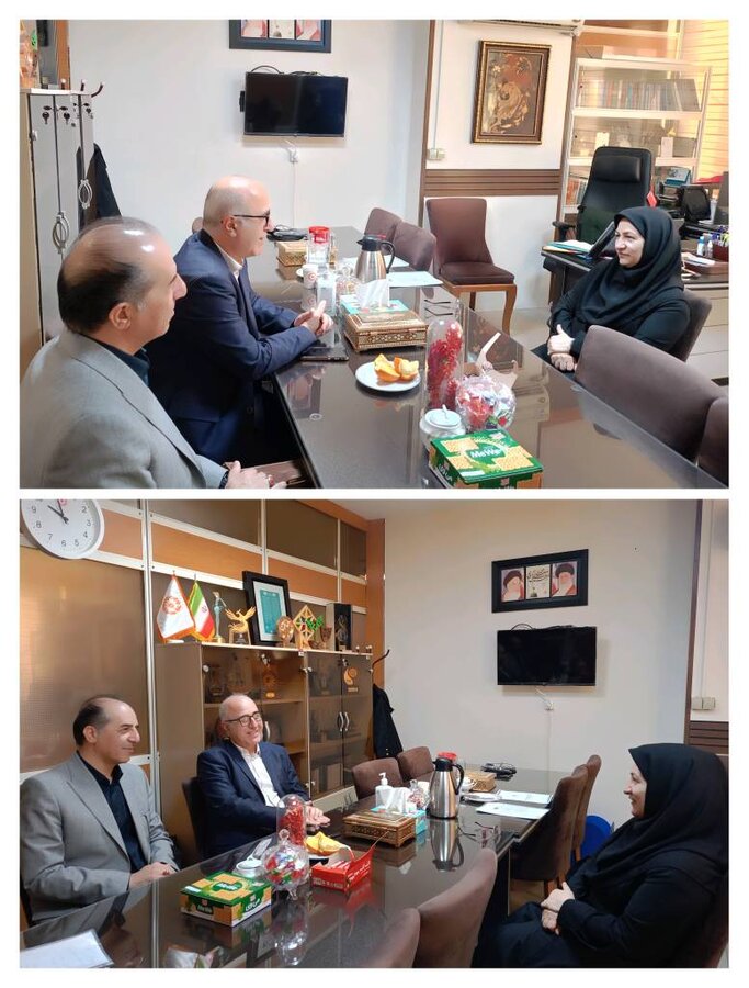 دیدار مدیرکل بهزیستی خراسان جنوبی با مدیرکل دفتر توانبخشی آموزشی، حرفه‌ای و توان‌پزشکی سازمان بهزیستی کشور