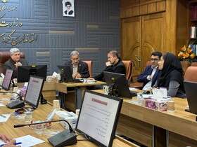 ۲۰ هزار سالمند استان تحت پوشش خدمات بهزیستی قرار دارند