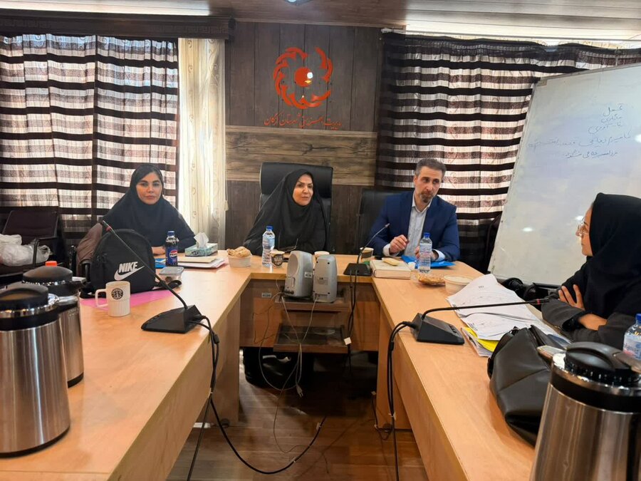 برگزاری دوره آموزشی تاب آوری ویژه کارشناسان اورژانس اجتماعی و مراکز حوزه آسیب های اجتماعی گلستان