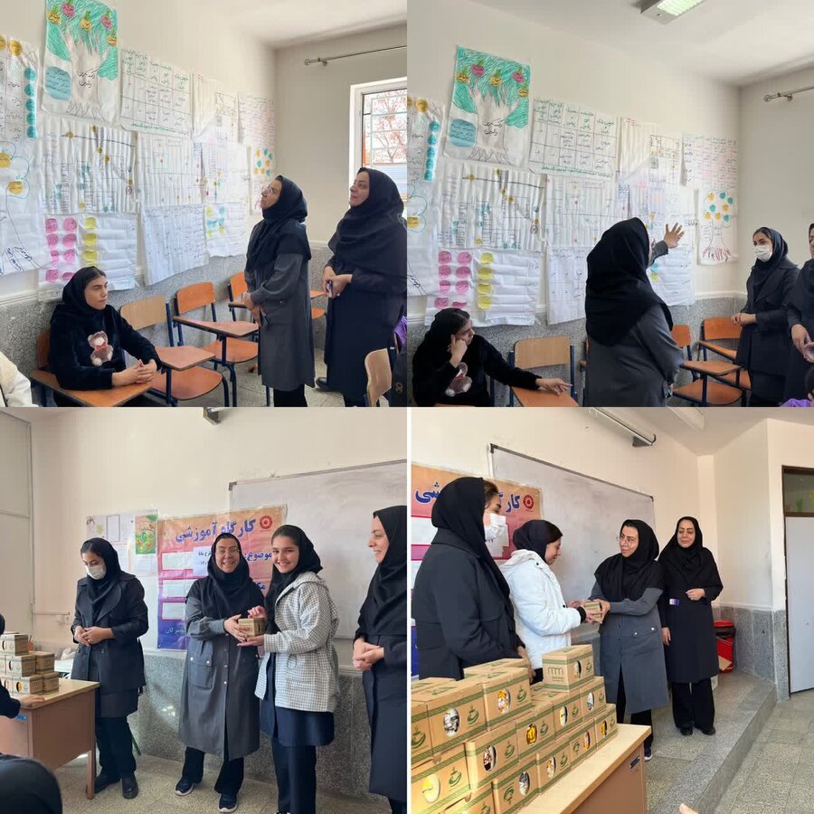 کارگاه آموزشی ارتقای سلامت سالمندان در روستای سلطان‌آباد رزن برگزار شد