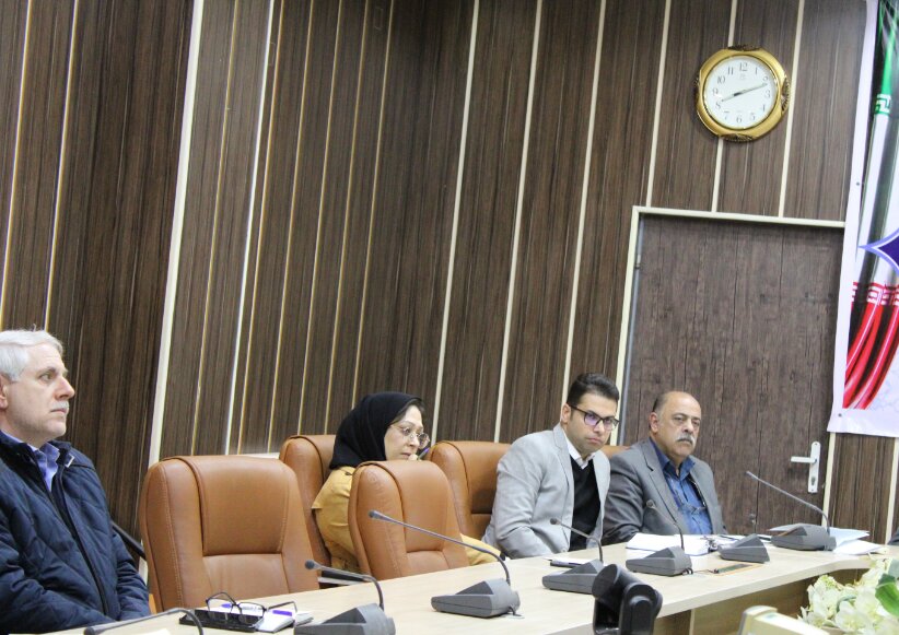 شورای معاونین بهزیستی گیلان 