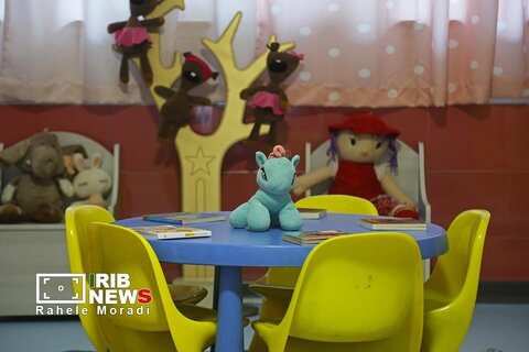 نشست خبری رئیس سازمان بهزیستی کشور