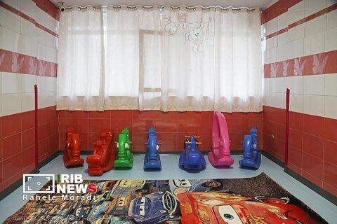 نشست خبری رئیس سازمان بهزیستی کشور