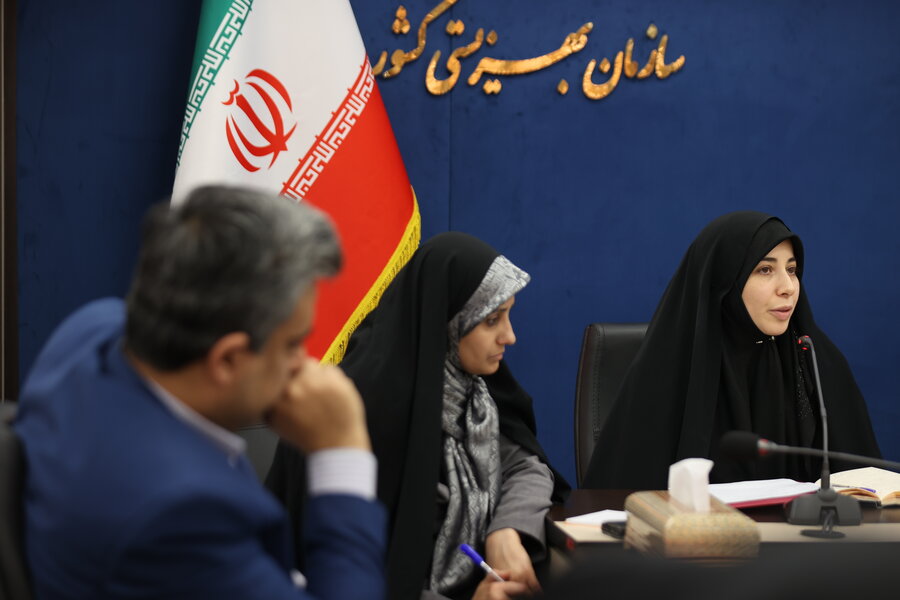 نقش سیاست های سازمانی در پیشرفت زنان شاغل و تقویت کارآیی با حفظ تعادل کار و خانواده