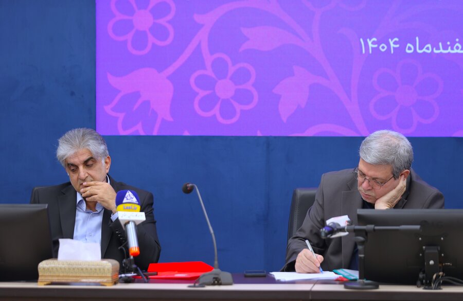 نقش سیاست های سازمانی در پیشرفت زنان شاغل و تقویت کارآیی با حفظ تعادل کار و خانواده