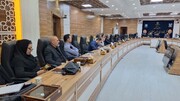 بررسی تسهیلات اشتغال‌زایی و اعتبارات سالجاری در نشست شورای اشتغال مسجدسلیمان