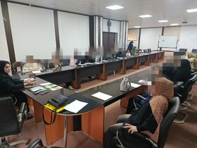 دزفول|برگزاری دوره‌ آموزشی خودمراقبتی و اجرای طرح غربالگری سلامت ویژه بانوان سرپرست خانوار