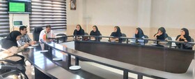 تأکید بر نقش راهبردی مددکاری اجتماعی در ارتقای سلامت مادر و کودک