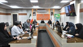 مدیرکل دفتر امور اجتماعی استانداری قزوین:عوامل کاهنده تاب‌آوری باید شناسایی و به دستگاه‌های سیاستگذار ارجاع شود