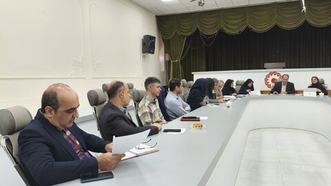 گزارش تصویری